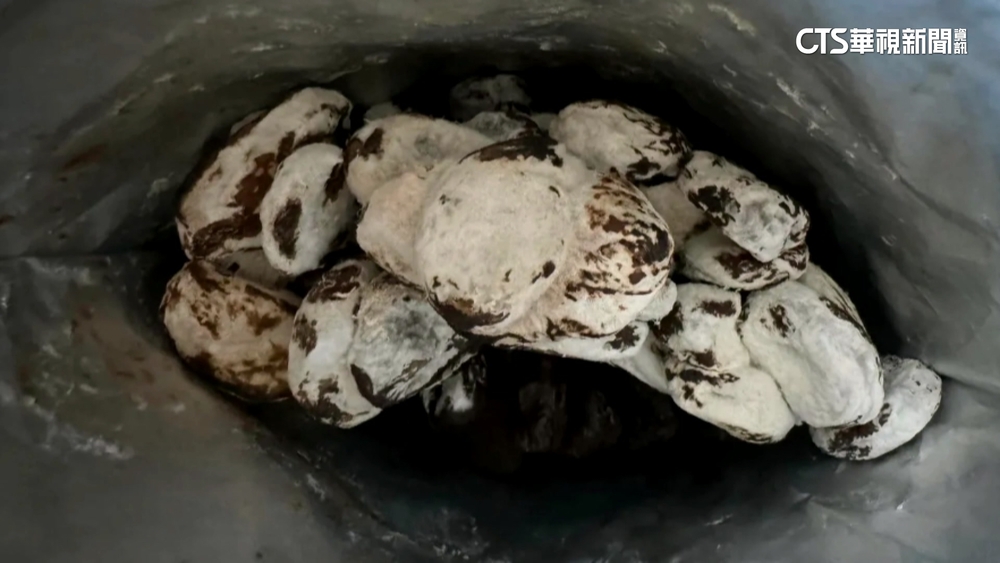 糖霜？發霉？　美式賣場杏桃乾「白色物質」掀議