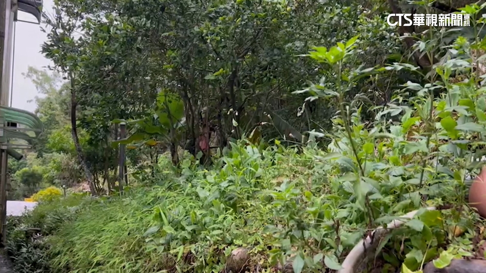 父伴屍五年未通報？　　男童未入學　竟遭丟棄山區