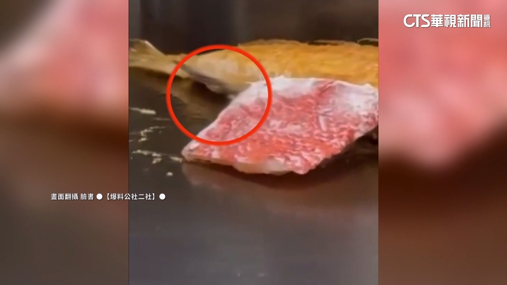 鐵板燒肉品「白蟲蠕動」　業者臨時休息未回應