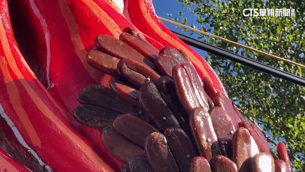 三年一科東港迎王登場！　千斤烏魚子霸氣貼滿龍身