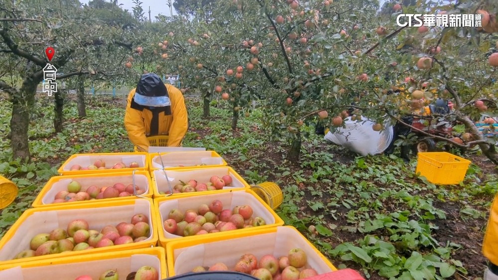 颱風來襲！　遊客憂災情　高山地區住宿湧退訂潮
