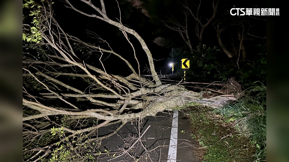 「山陀兒」風勢強勁！　桃園路樹遭吹倒橫躺車道