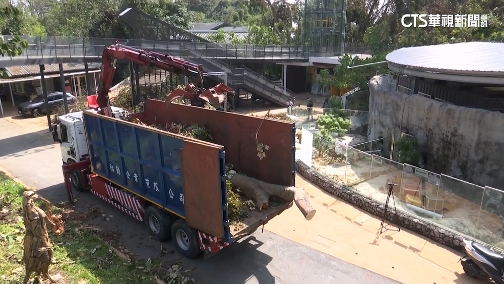 颱風重創壽山動物園　園方修繕拚雙十國慶重啟