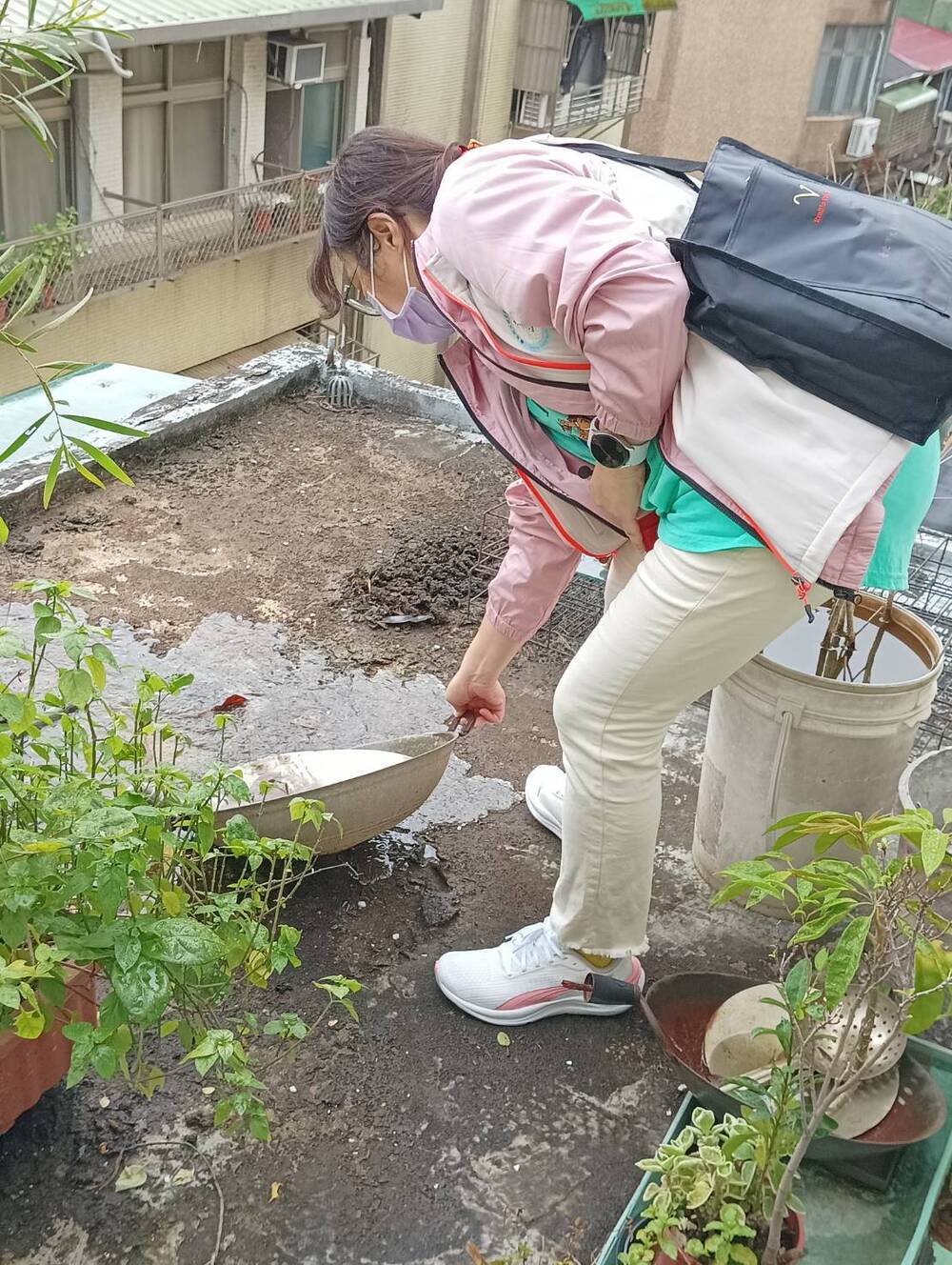 圖 台北市衛生局 提供