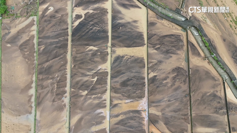 金山淹水農民損失慘　「白米炸彈客」楊儒門也受災