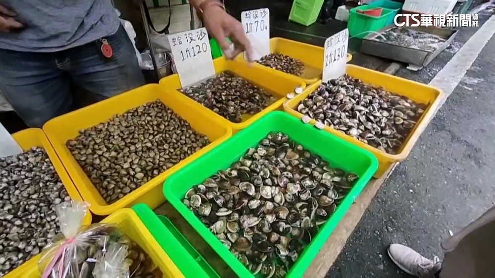 火鍋店「文蛤」限量供應！　業者：產量銳減8成恐難吃到