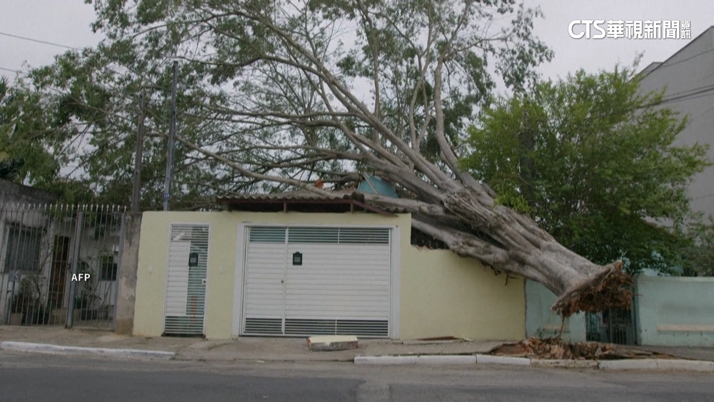 巴西聖保羅強風豪雨至少7死　210萬人斷電