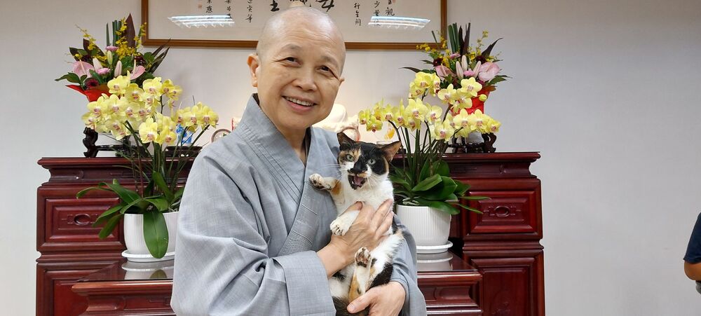 玄奘大學生涉虐貓 網湧校方臉書撻伐　釋昭慧反擊：酸民邪惡程度不輸虐貓的惡棍