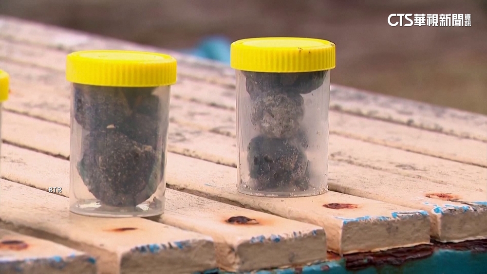 雪梨著名海灘湧現數千小黑球！　澳洲緊急關閉7海灘