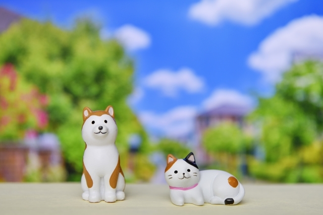 逾9成上班族每天花2.5小時陪寵物玩 寵物相關職缺年增12%