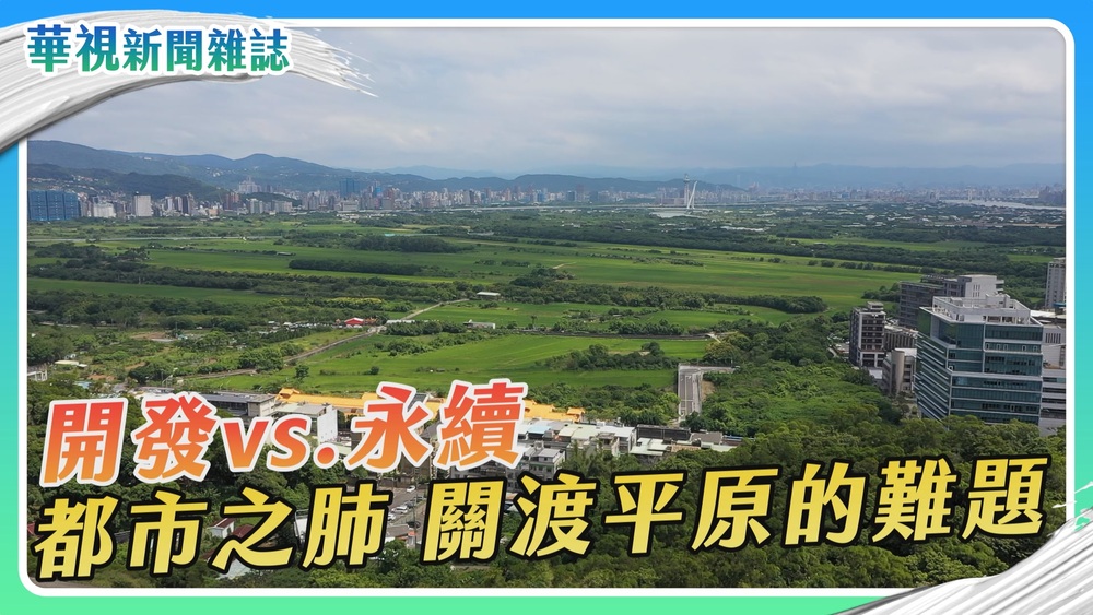 守護都市之肺 開發vs.永續 關渡平原的難題｜華視新聞雜誌