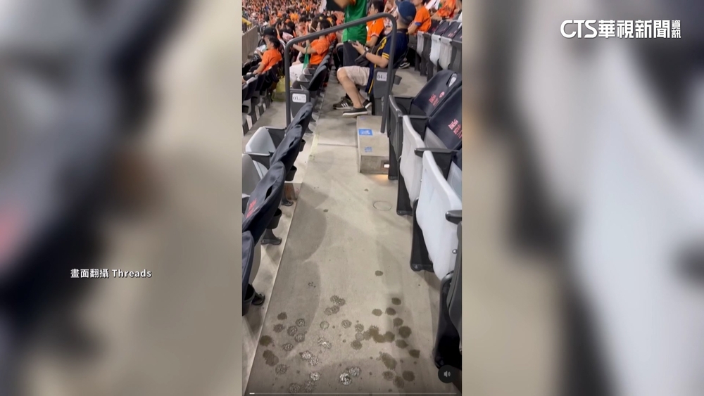 中職冠軍賽大巨蛋湧4萬人潮　議員控險發生「踩踏」