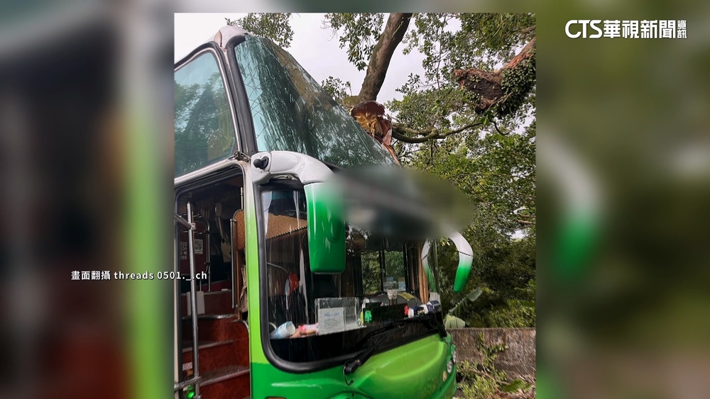 遊覽車載海大生撞路樹　里長：同駕駛5月也撞車