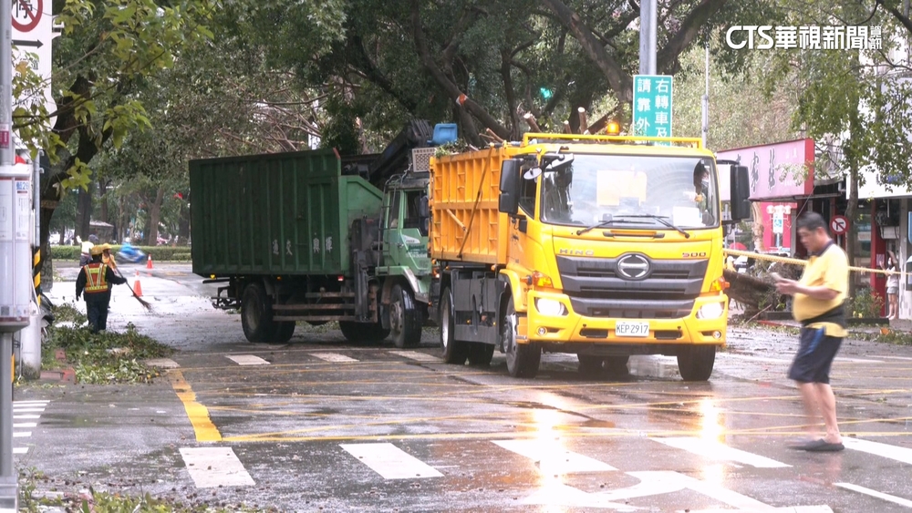 北市通報千件路樹倒　蔣萬安：主要幹道已清8成