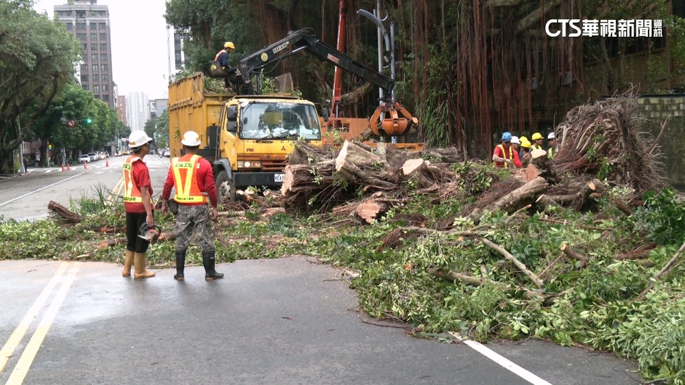 康芮強襲！周邊樹倒雙向封路　顧立雄赴立院也遲到