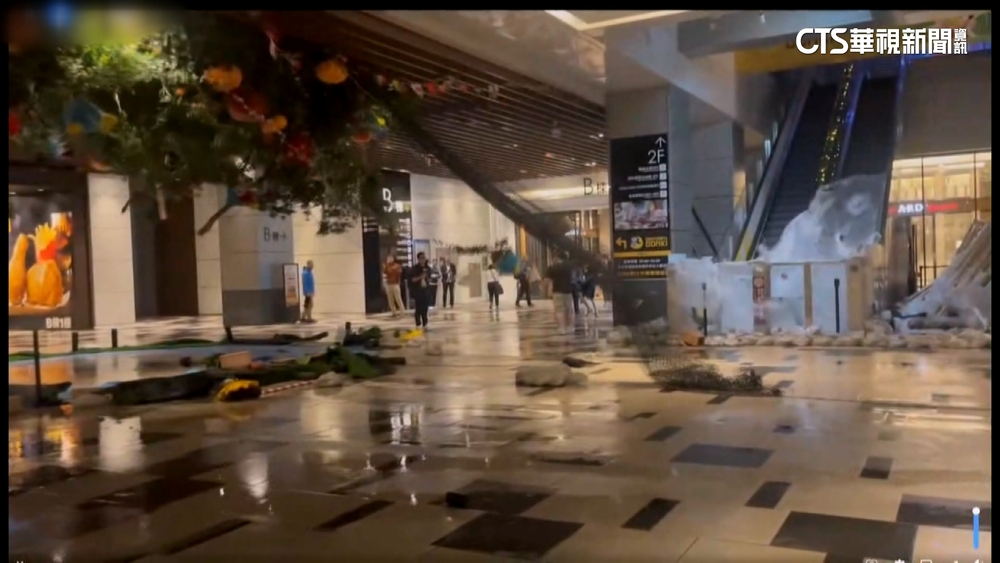 「大樹爺爺」倒　員工母控遭吹飛重摔無人理　商場：會檢討