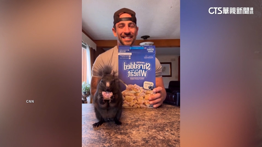 萬人連署也救不了！　美國「網紅松鼠」遭捕安樂死