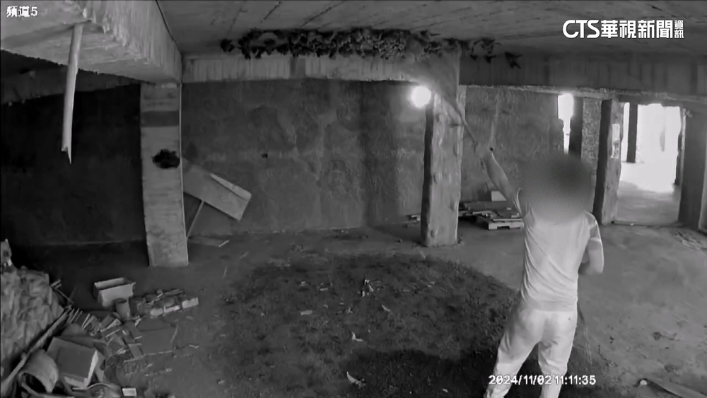 男闖佛寺祕境攻擊數百隻蝙蝠　觸犯動保法