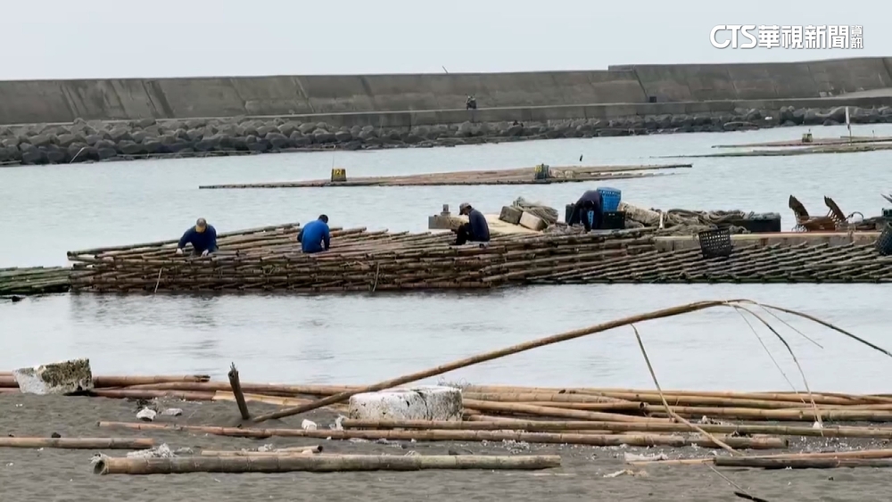 疑養蚵糾紛相約談判　蚵農開槍傷人後攜槍投案