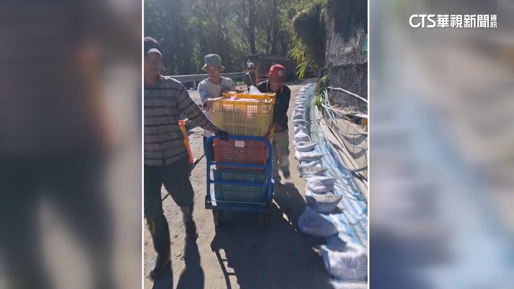 憂蜜蘋果.甜柿放爛！梨山農冒險閃天坑「推車運果」