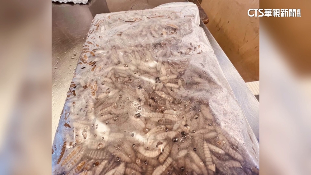 開攤驚見10包冷凍蟲蟲 雞肉鋪po網協尋+報警