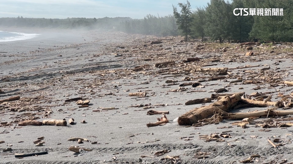 花蓮海灘滿地「漂流木」　民眾苦等公告不敢清