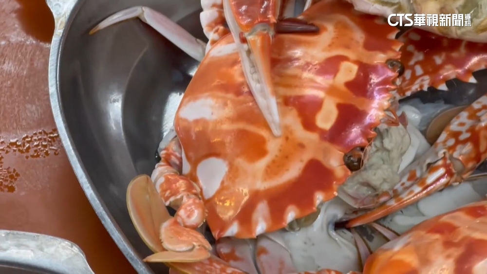 金山吃4花蟹要價逾6千？　業者：個頭大　物超所值