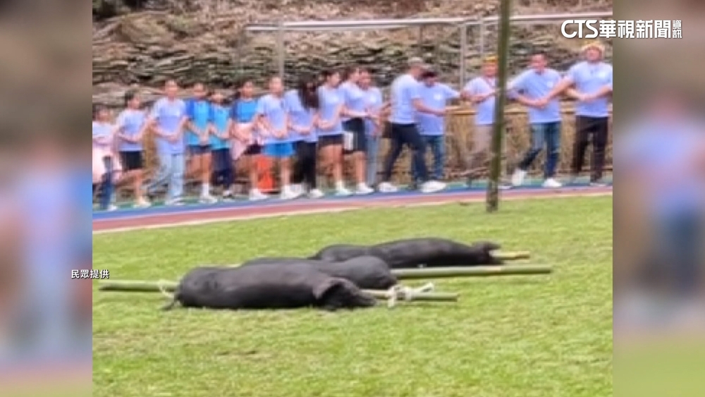 黑米祭狩獵遭質疑不當　主辦：尊重特有祭典.也會檢討