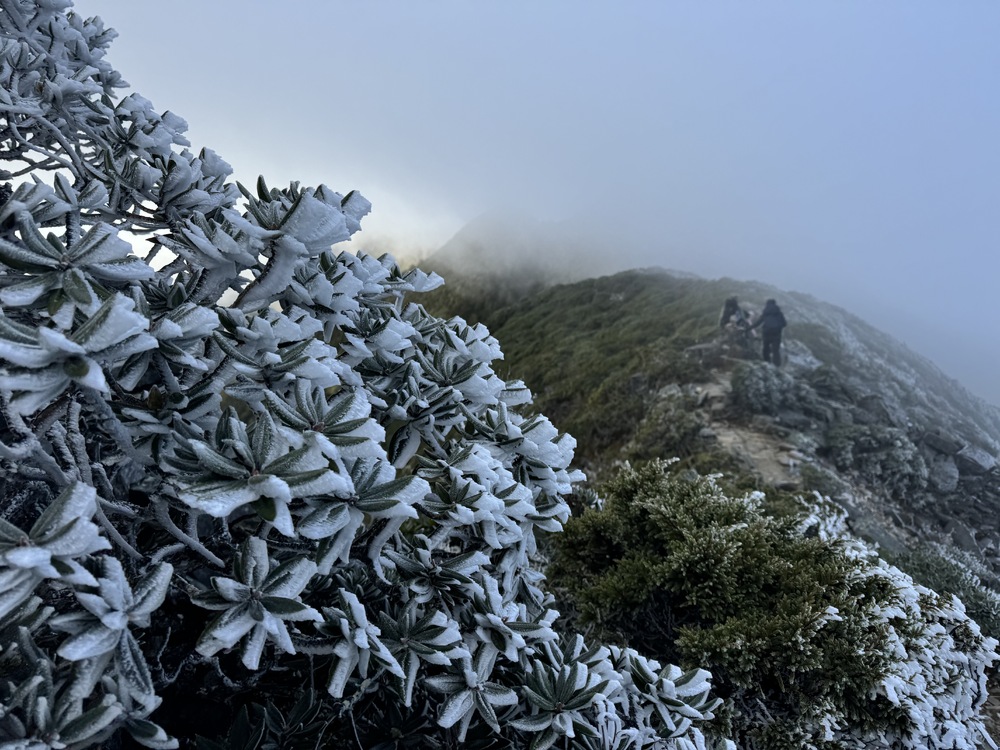 潔白美景！雪霸山區現白霜 雪管處籲：登山民眾洋蔥式穿法