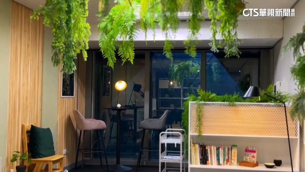 辦公室滿牆綠植　議員爆謝宜容140多萬就業安定基金