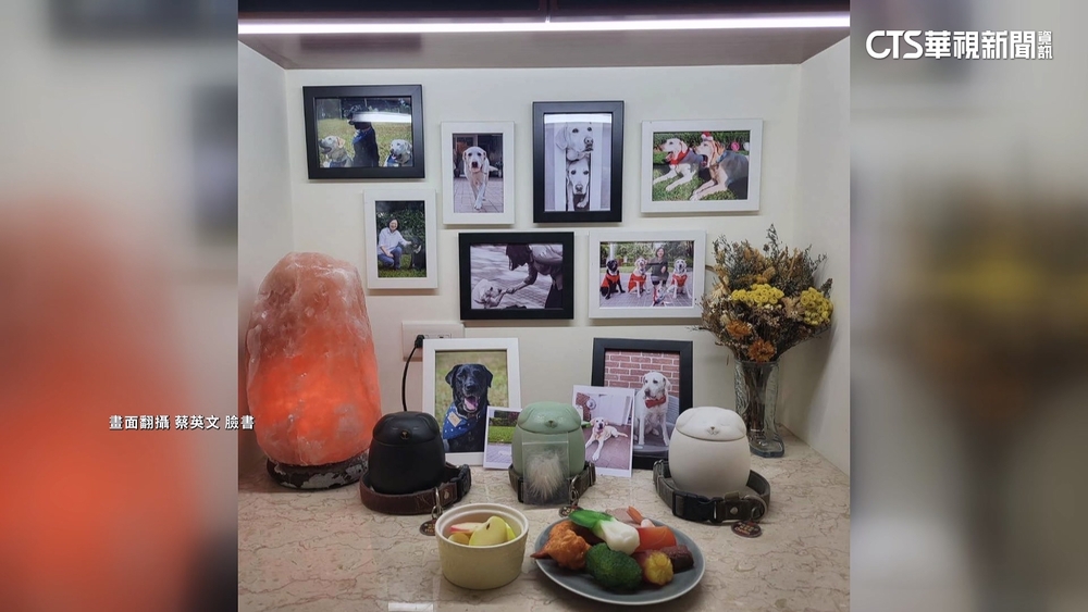 蔡英文愛犬過世！等她回家「互相道別才離開」