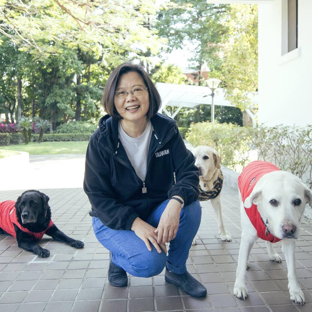 蔡英文家中3毛孩全當天使 導盲犬學校發聲：自由自在飛翔吧