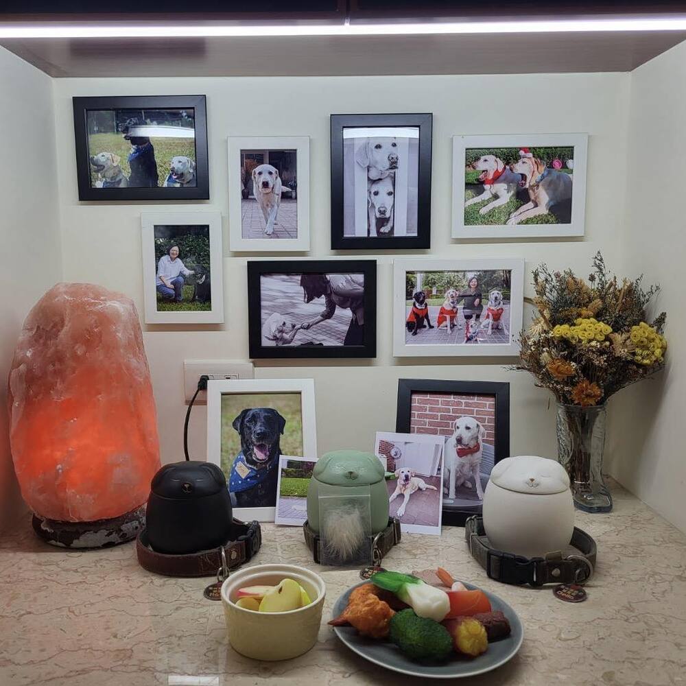 圖／翻攝自「蔡英文 Tsai Ing-wen」臉書粉專