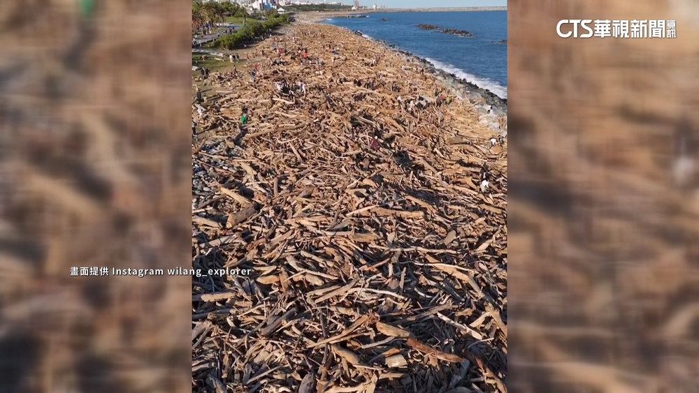 颱風後堆漂流木　花蓮新景點「一根超好趴的木頭」
