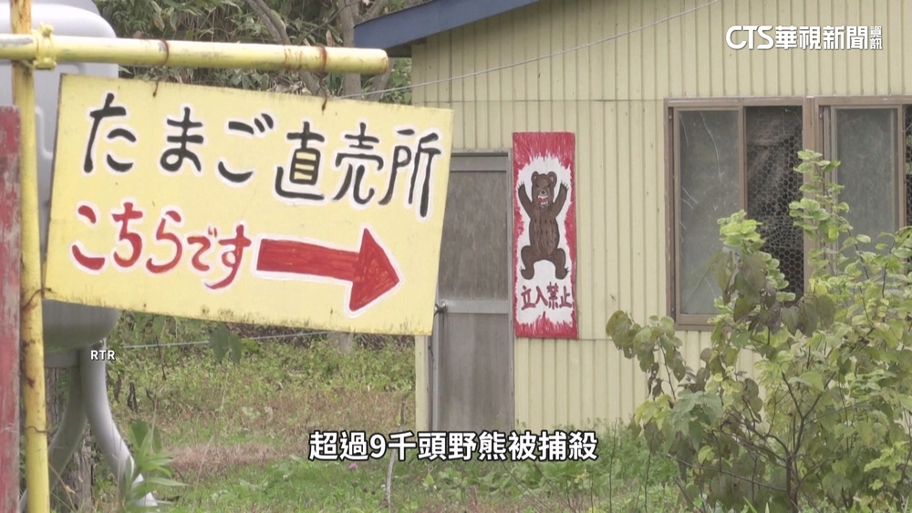 野熊頻出沒傷人　獵人高齡化危機加劇