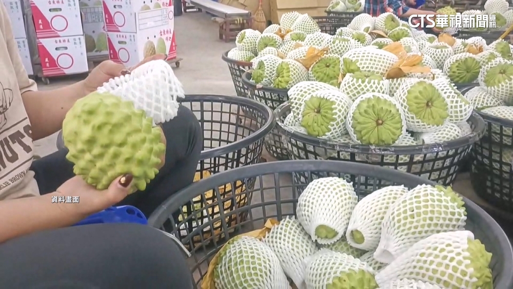 觀光客必吃食物清單+1　釋迦引南韓網友熱議