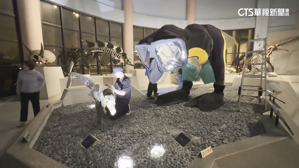 台中科博館暴龍換裝　化身「海洋守護者」添趣味