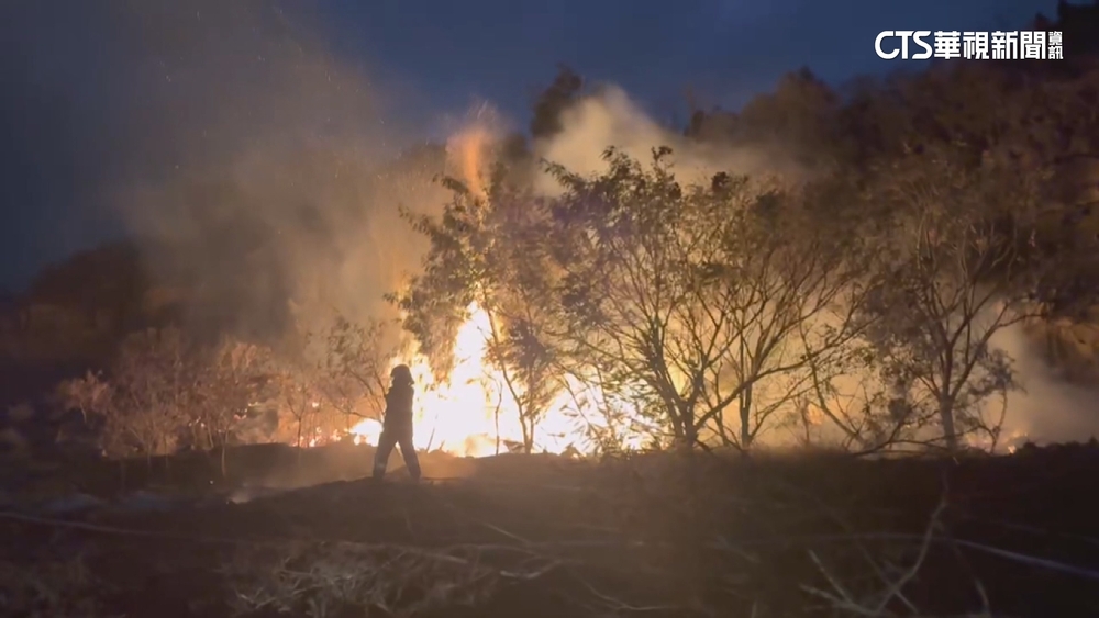 金門陽明湖田野起火　「鸕鶿」棲息地燒燬難過冬