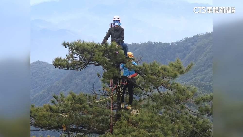 險！攀鳶嘴山陡壁樹梢危險自拍　網友：玩命
