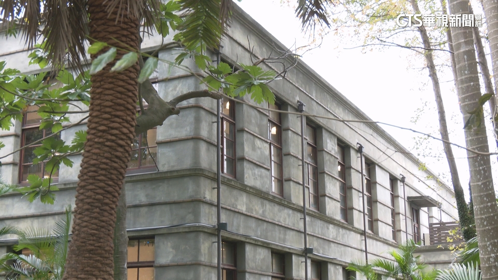 大巨蛋演唱會傷松菸？　專家：有地震留下來的痕跡