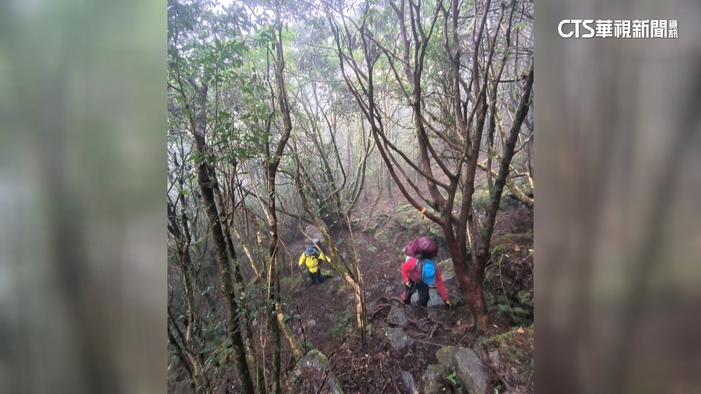網路組團登山！　5旬女「高山症」遭7同伴獨留山上