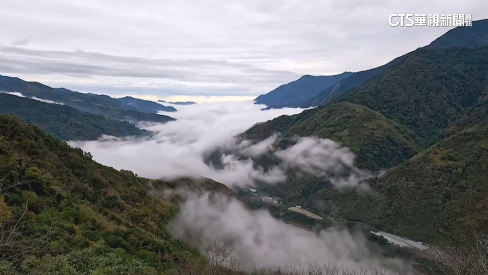 冷氣團發威！武嶺下冰霰　湧追雪潮.違停亂象多