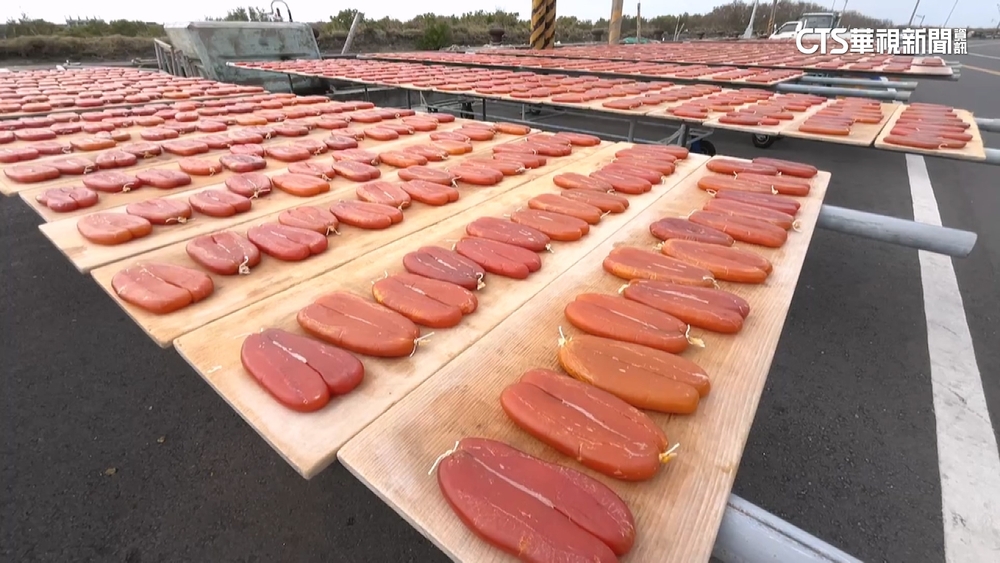 台南將軍青鯤鯓小漁村　沿街曬「三寶海產」超壯觀
