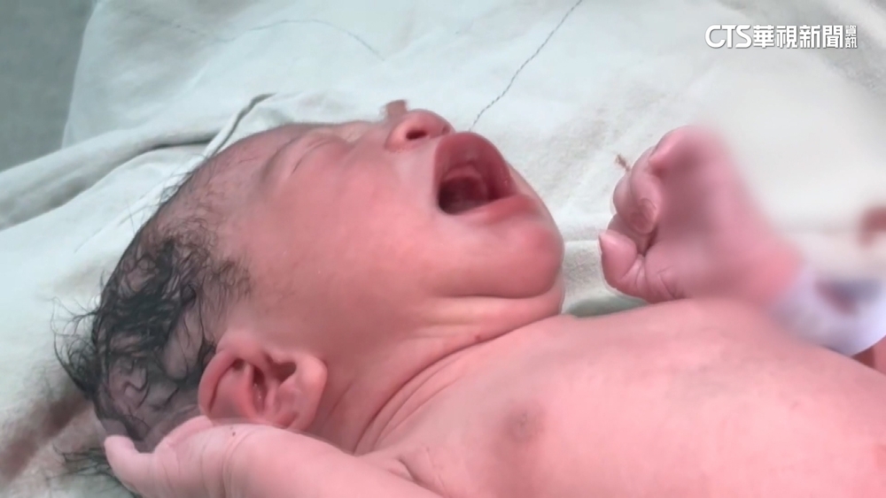 去年新生兒數創低　龍年寶寶罕見比虎.兔年都低