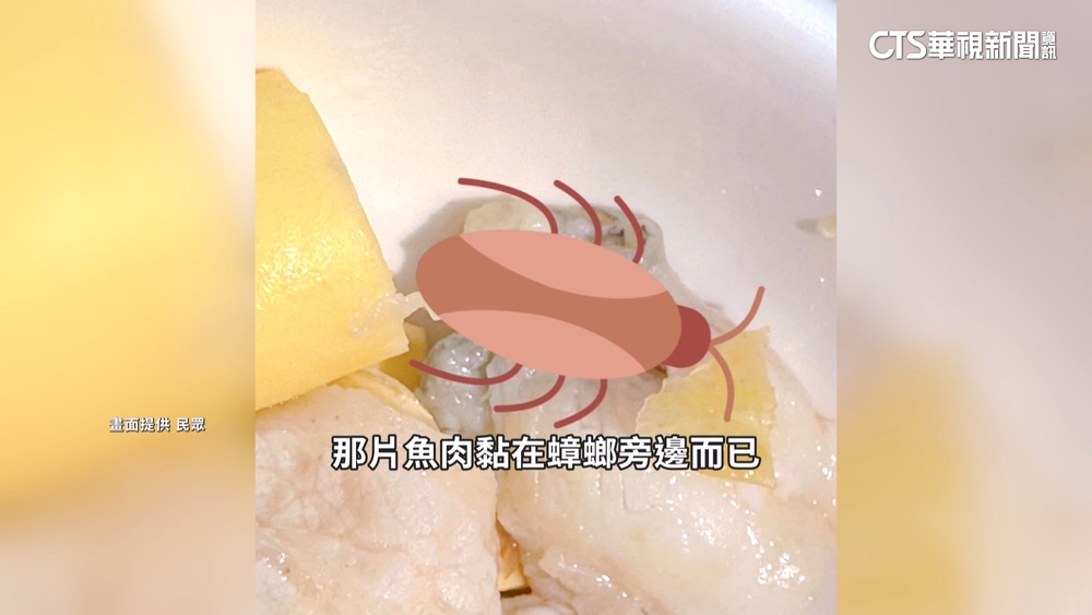 吃酸菜魚火鍋「小強」險下肚　餐廳免單歉：加強清消