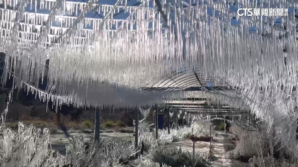 武陵農場成冰晶世界！　清晨-3.3度車內瓶水結冰