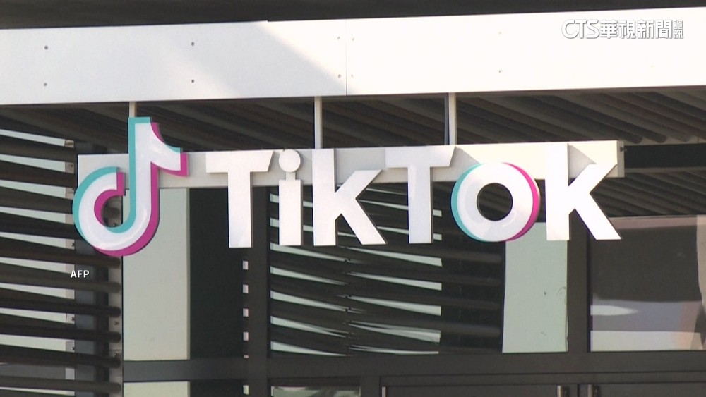 傳馬斯克將接管在美國業務　TikTok駁：純屬虛構