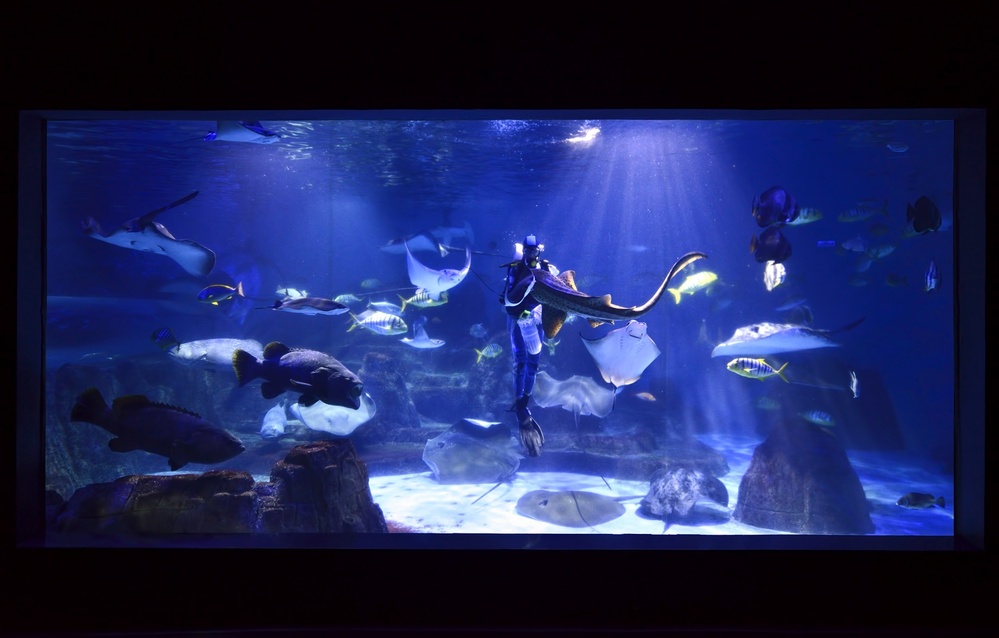 圖／遠雄海洋公園