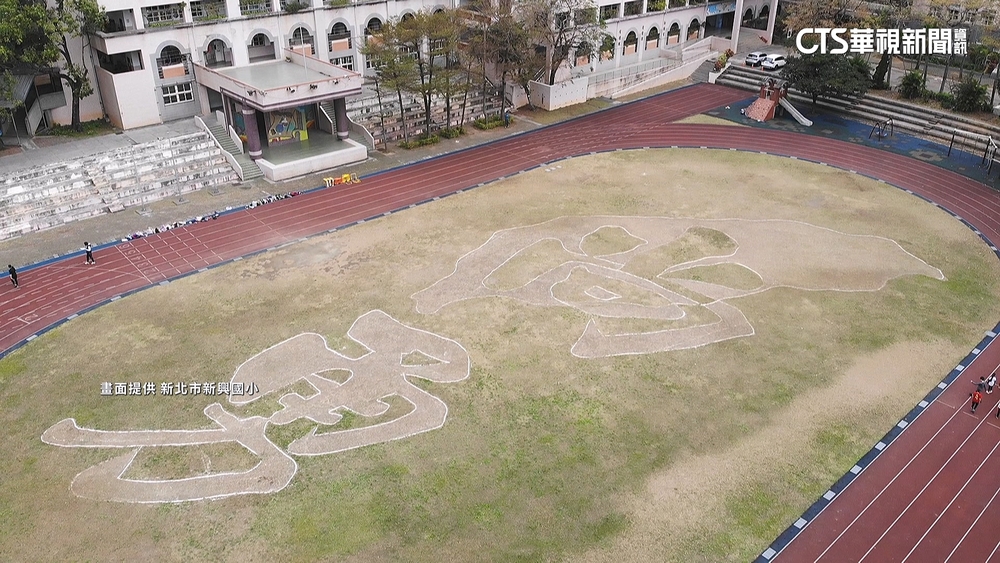 操場現巨型「台灣尚勇」　工友阿伯創作「草皮畫」