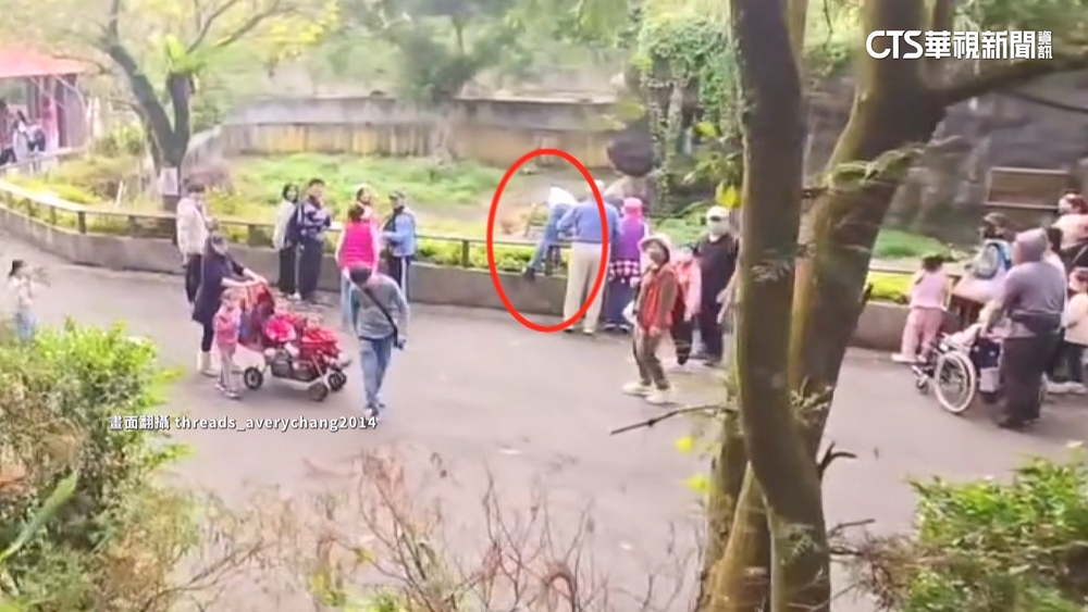 男違規翻圍欄不聽勸　靠近動物園鬣狗區遭喝斥